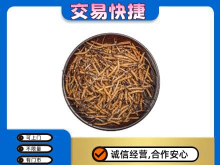 琼中高价回收散虫草